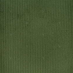 500 Stripes Corduroy Fern